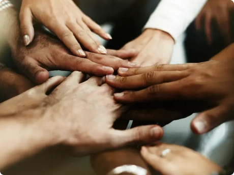 relatórios de desempenho ()